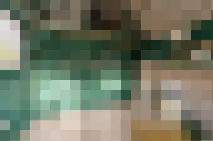 de Zande 4 Kamperveen thumbnail 31