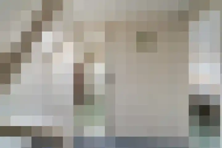 de Zande 4 Kamperveen thumbnail 41