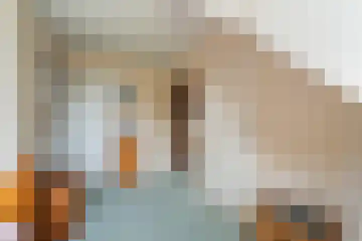de Zande 4 Kamperveen thumbnail 49