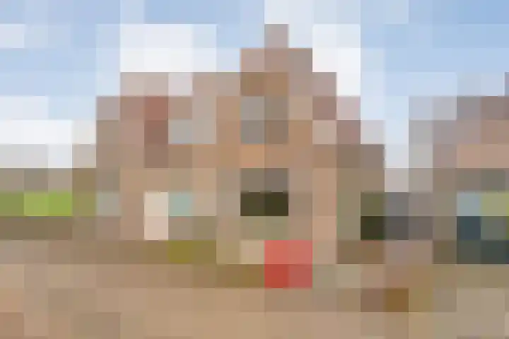 de Zande 6 Kamperveen