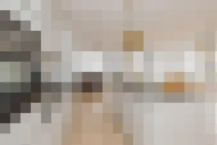 De Zanderijen 20 Beverwijk thumbnail 11