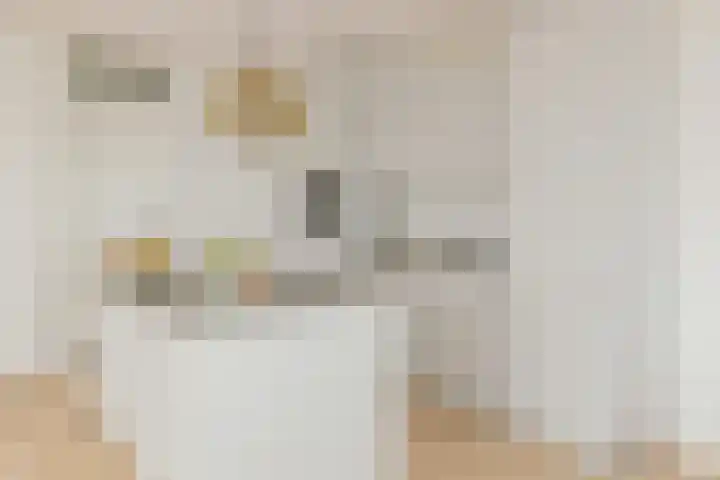 De Zanderijen 20 Beverwijk thumbnail 22