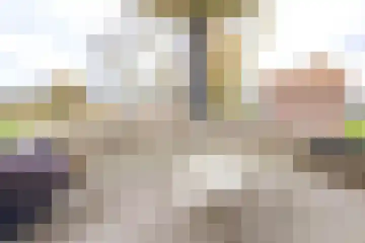 De Zanderijen 20 Beverwijk thumbnail 27