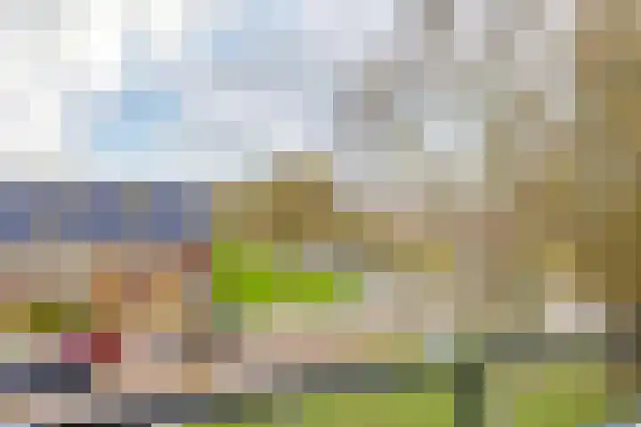De Zanderijen 20 Beverwijk thumbnail 28