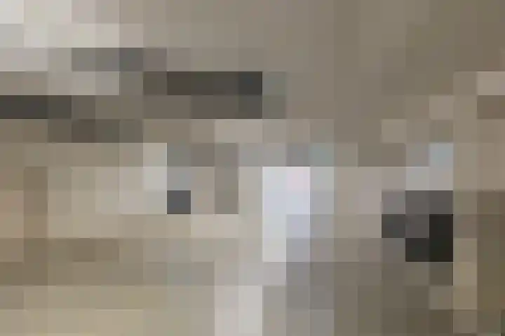De Zanderijen 20 Beverwijk thumbnail 39