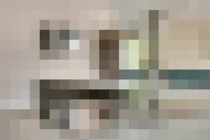 De Zate 42 Dronten thumbnail 10