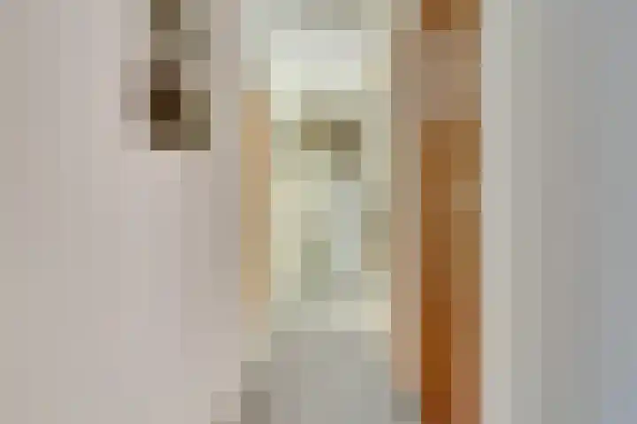 De Zate 42 Dronten thumbnail 29