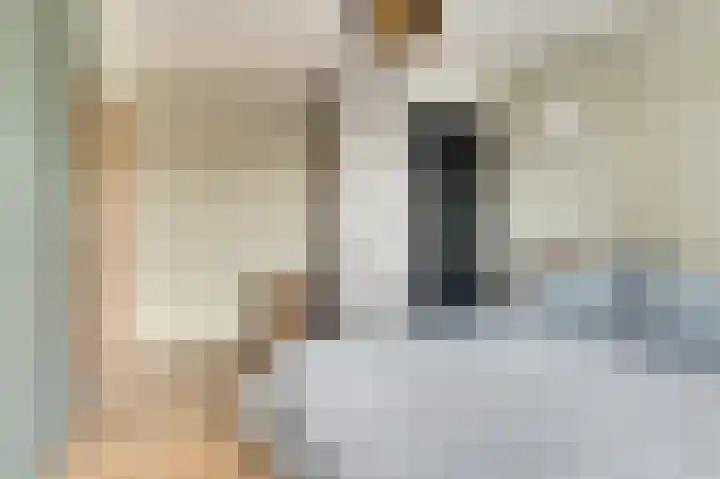 De Zate 42 Dronten thumbnail 33