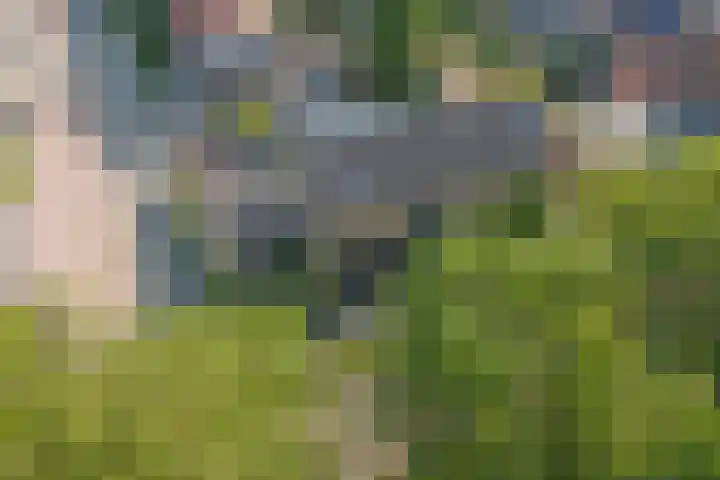 De Zate 42 Dronten thumbnail 49