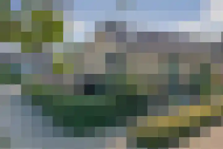 De Zate 42 Dronten thumbnail 5