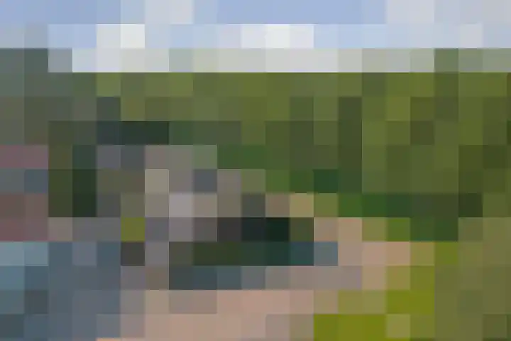 De Zate 42 Dronten thumbnail 51