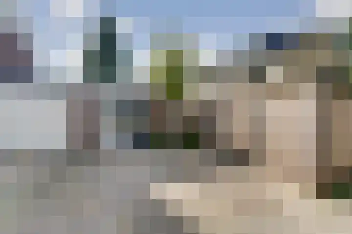 De Zate 42 Dronten thumbnail 55