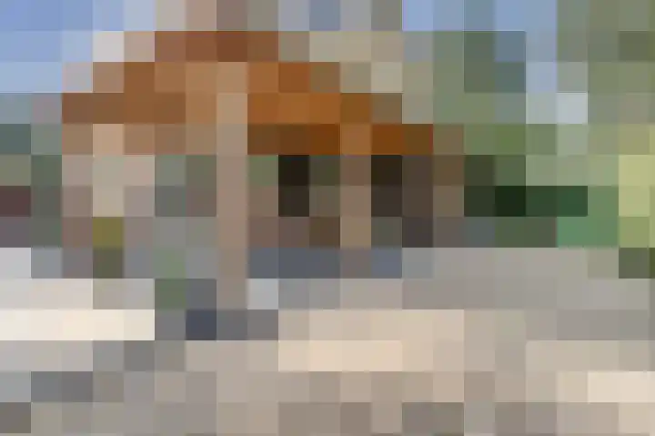De Zate 42 Dronten thumbnail 57