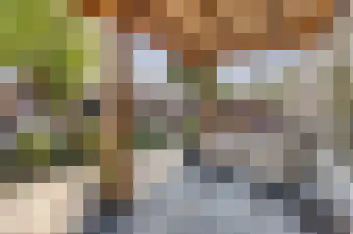 De Zate 42 Dronten thumbnail 64