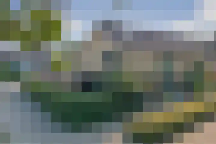 De Zate 42 Dronten thumbnail 65