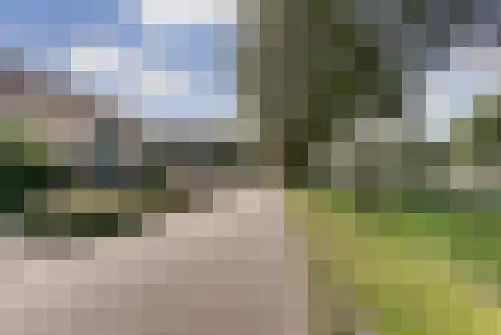 De Zate 42 Dronten thumbnail 67