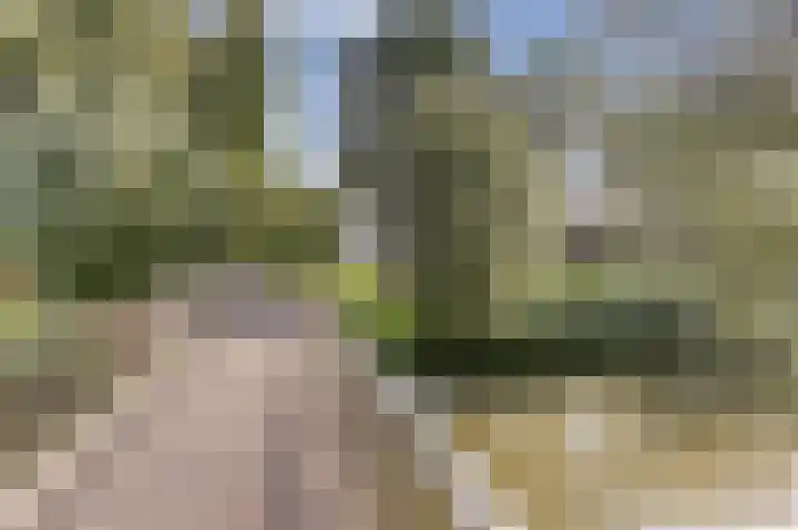 De Zate 42 Dronten thumbnail 69