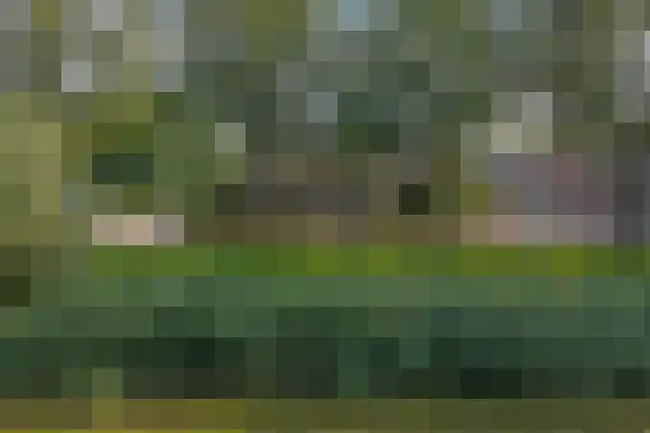 De Zate 42 Dronten thumbnail 70