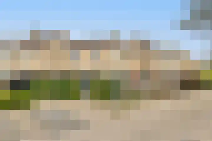 De Zeelt 2 in Nieuwkoop