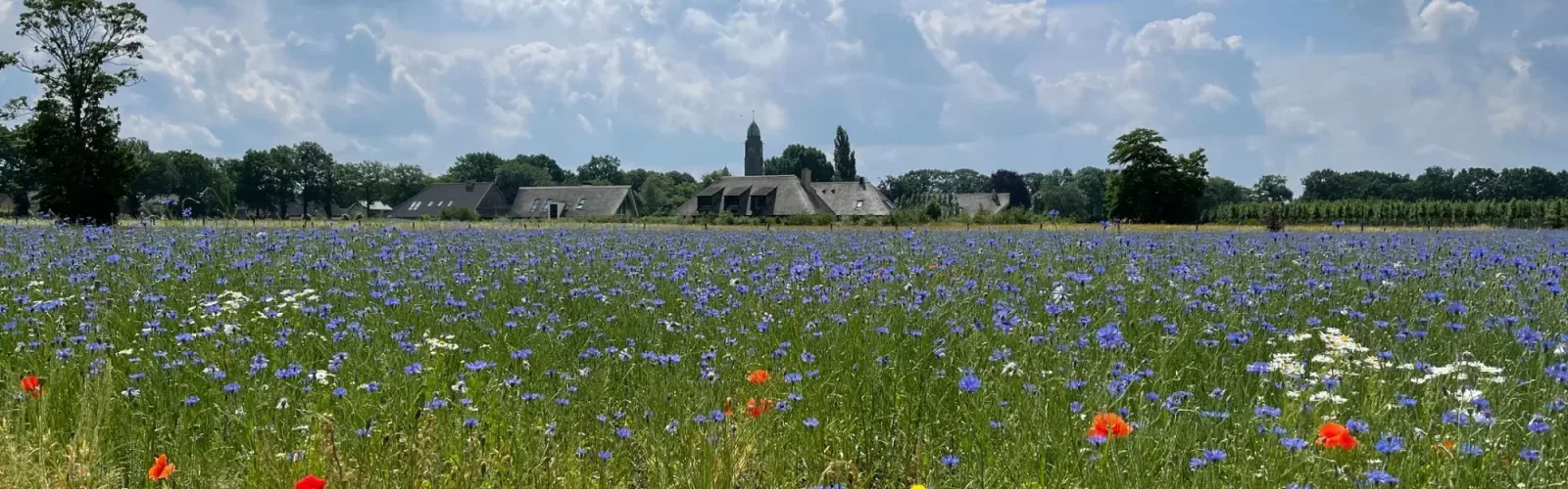 Photo d'équipe de De Zeeuw Makelaars