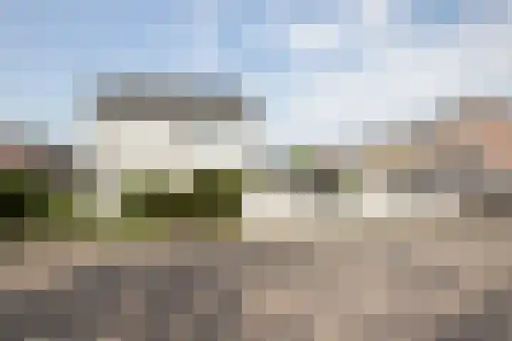 De Zegge 2 Zwartsluis thumbnail 11