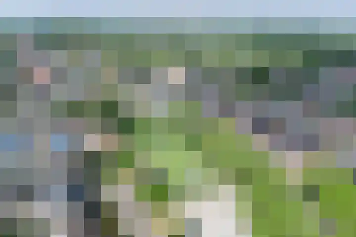 De Zegge 2 Zwartsluis thumbnail 13