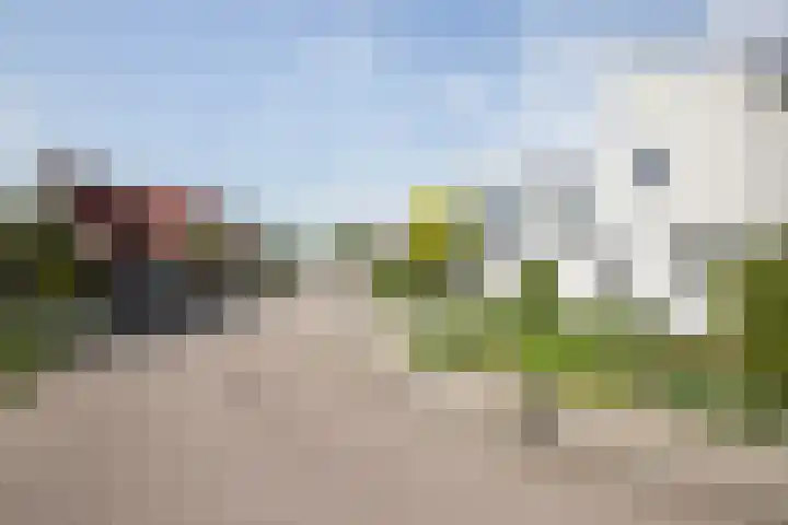De Zegge 2 Zwartsluis thumbnail 14