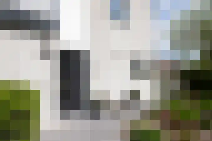 De Zegge 2 Zwartsluis thumbnail 15