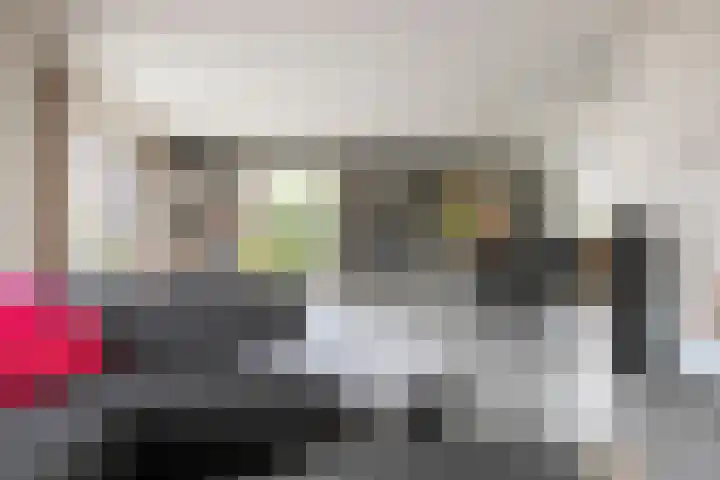De Zegge 2 Zwartsluis thumbnail 18