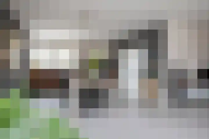 De Zegge 2 Zwartsluis thumbnail 20