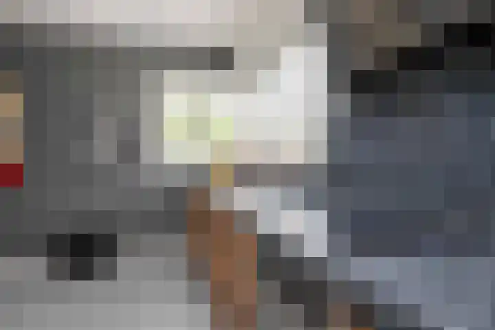 De Zegge 2 Zwartsluis thumbnail 22