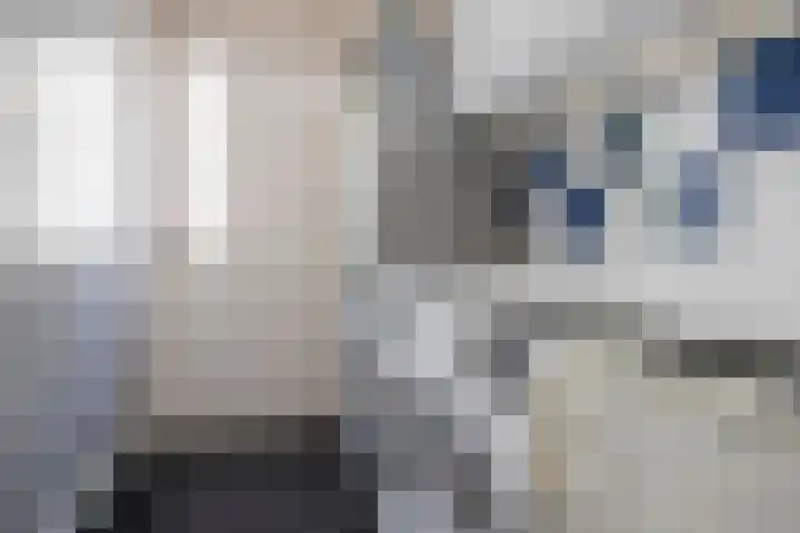 De Zegge 2 Zwartsluis thumbnail 25