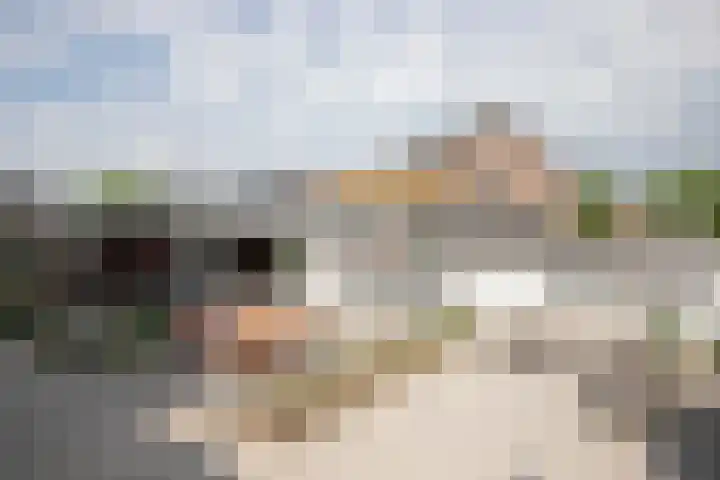 De Zegge 2 Zwartsluis thumbnail 27