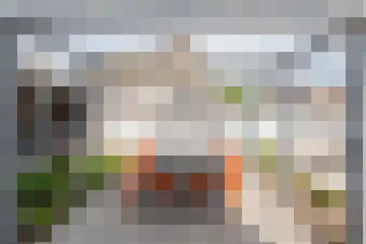 De Zegge 2 Zwartsluis thumbnail 28