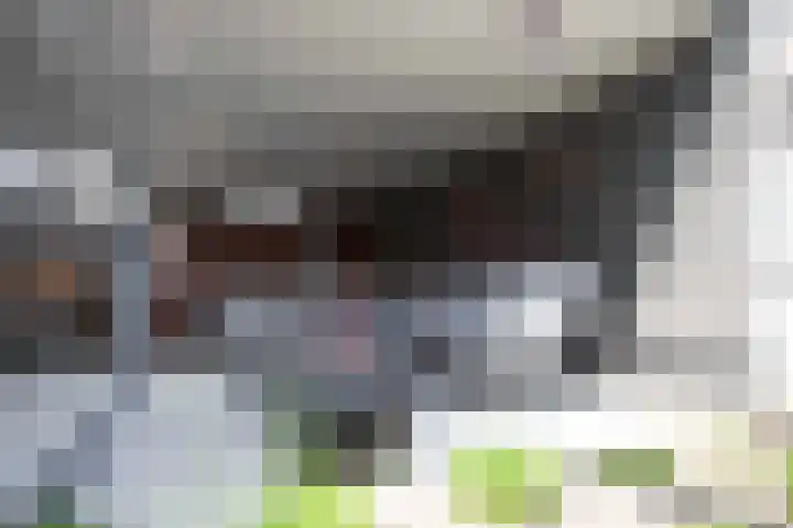 De Zegge 2 Zwartsluis thumbnail 29