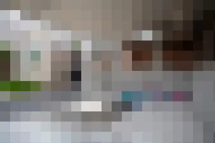 De Zegge 2 Zwartsluis thumbnail 30
