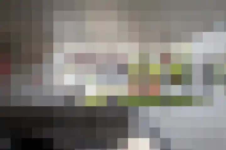 De Zegge 2 Zwartsluis thumbnail 32