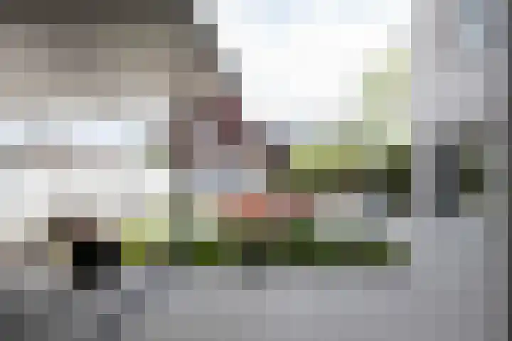 De Zegge 2 Zwartsluis thumbnail 33