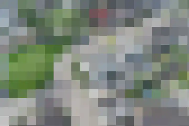 De Zegge 2 Zwartsluis thumbnail 34