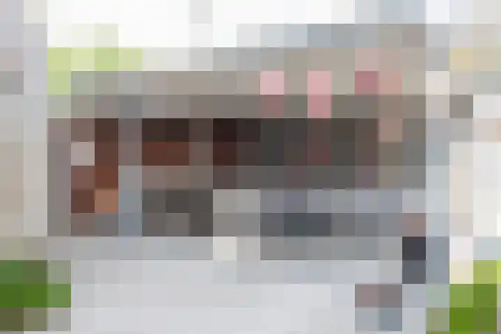 De Zegge 2 Zwartsluis thumbnail 35