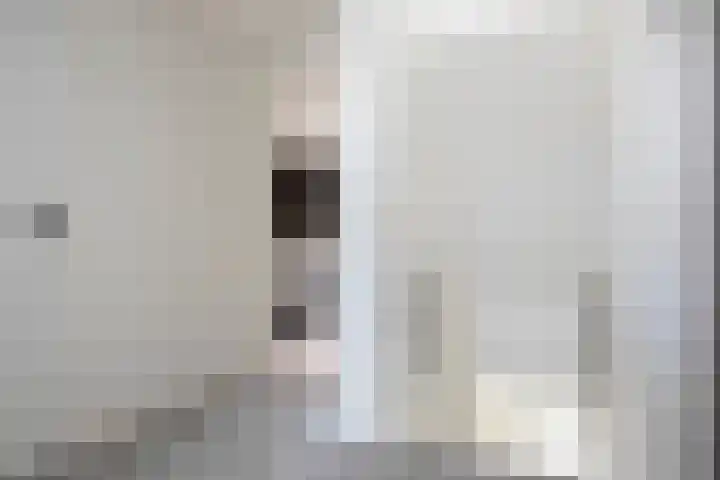 De Zegge 2 Zwartsluis thumbnail 38