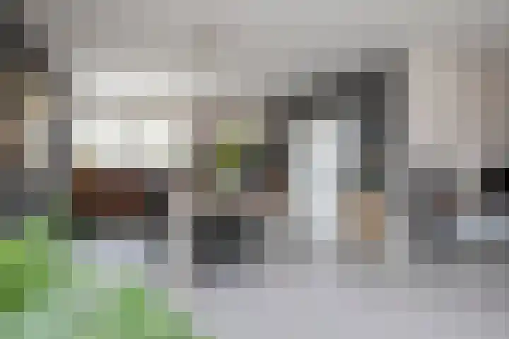 De Zegge 2 Zwartsluis thumbnail 4