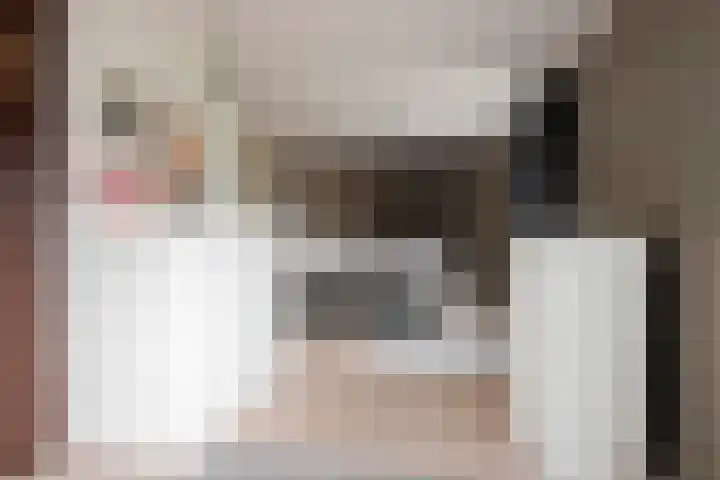 De Zegge 2 Zwartsluis thumbnail 40
