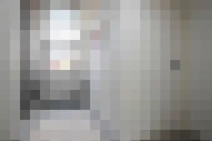 De Zegge 2 Zwartsluis thumbnail 43