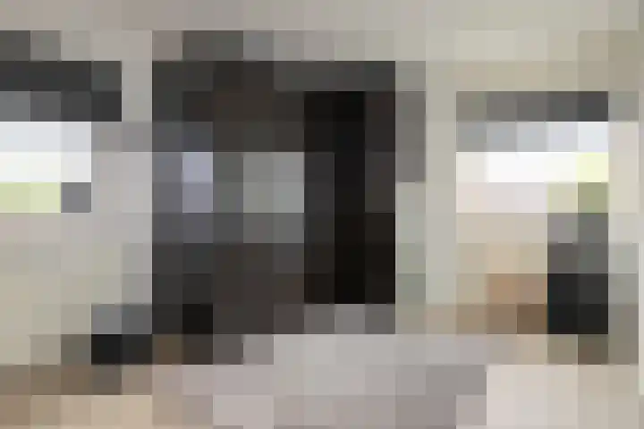 De Zegge 2 Zwartsluis thumbnail 44