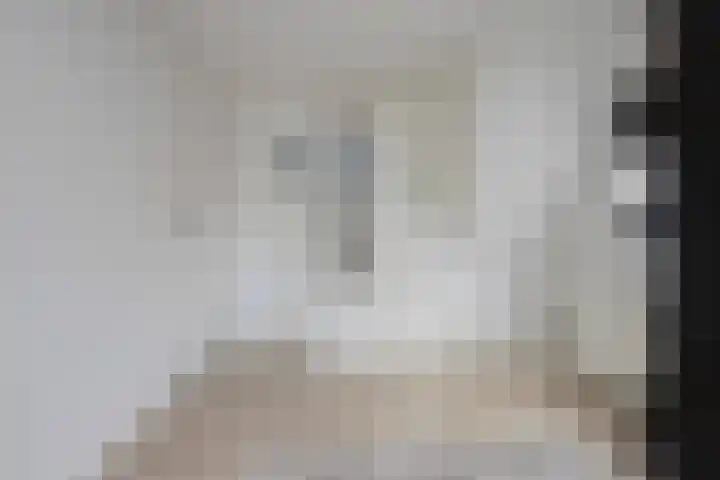 De Zegge 2 Zwartsluis thumbnail 45