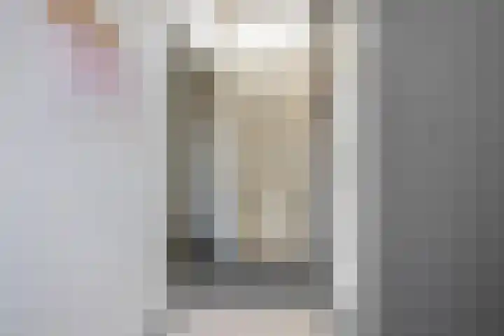 De Zegge 2 Zwartsluis thumbnail 50