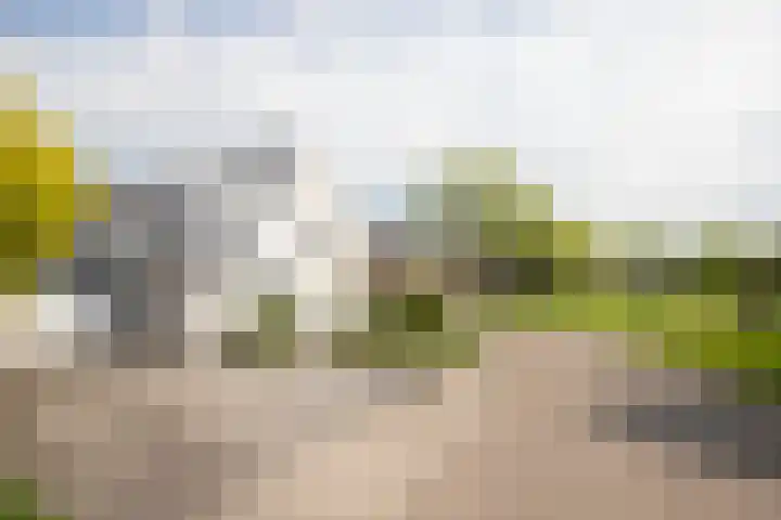 De Zegge 2 Zwartsluis thumbnail 54