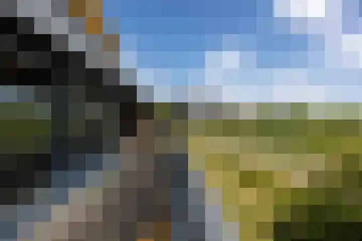 De Zeilmakerij 14 Leusden thumbnail 12