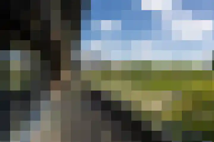De Zeilmakerij 14 Leusden thumbnail 13